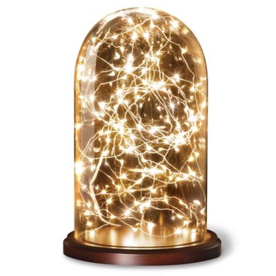 Loft Living Cloche with 20-Foot LED String Lights - Bed Bath & Beyond
